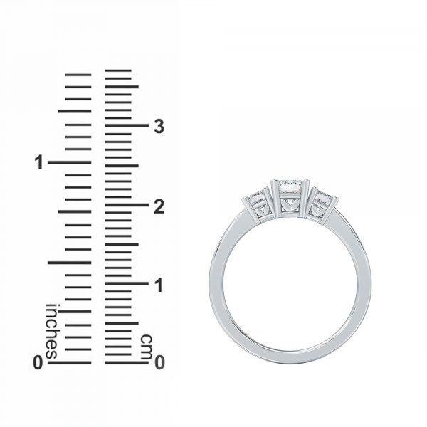 1ct_EmeraldCut_14k_WhiteGold_ThreeStone_Ring_R3S100EC14W_3