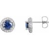 Platinum Natural Blue Sapphire & 1/3 CTW Natural Diamond Earrings