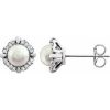 14K White Cultured White Freshwater Pearl & 1/10 CTW Natural Diamond Earrings