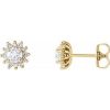 14K Yellow 1/2 CTW Natural Diamond Halo-Style Earrings