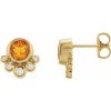 Natural Citrine And 1/8 Ctw Natural Diamond Earrings