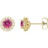 14K Yellow 4 mm Natural Pink Tourmaline & 1/8 CTW Natural Diamond Earrings