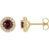 14K Yellow 4 mm Lab-Grown Ruby & 1/8 CTW Natural Diamond Earrings