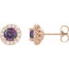 14K Rose 4 mm Lab-Grown Alexandrite & 1/8 CTW Natural Diamond Earrings