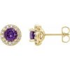 14K Yellow 6 mm Natural Amethyst & 1/4 Natural Diamond Earrings