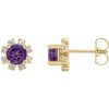 14K Yellow Natural Amethyst & 1/2 CTW Natural Diamond Earrings