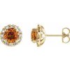 14K Yellow 6 mm Natural Citrine & 1/3 CTW Natural Diamond Halo-Style Earrings