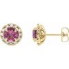 Natural Pink Tourmaline And 1/3 Ctw Natural Diamond Earrings