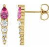 14K Yellow Natural Pink Tourmaline & 1/4 CTW Natural Diamond Earrings