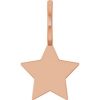 14K Rose Engravable Star Charm/Pendant